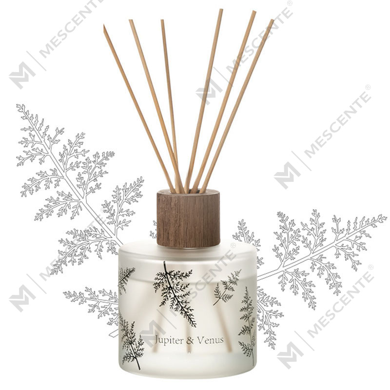 M & Scent Toptan Lüks Özel Dekoratif Amber Cam Ateşsiz Benzersiz Şeffaf Çiçek Aroma Kamış Difüzör