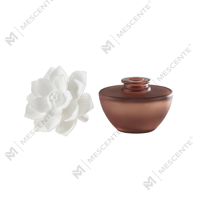 Beyaz Çiçek Mini Parfüm Aroma Kamış Difüzör Yağı, koku Tayland Kamış Difüzörler Hediye Seti