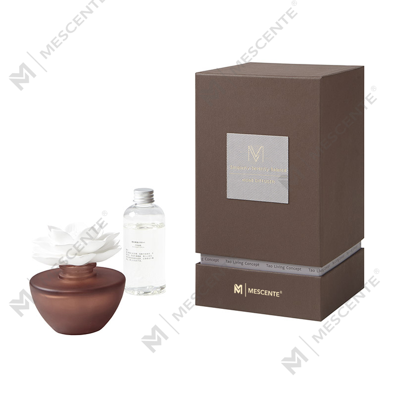 Beyaz Çiçek Mini Parfüm Aroma Kamış Difüzör Yağı, koku Tayland Kamış Difüzörler Hediye Seti