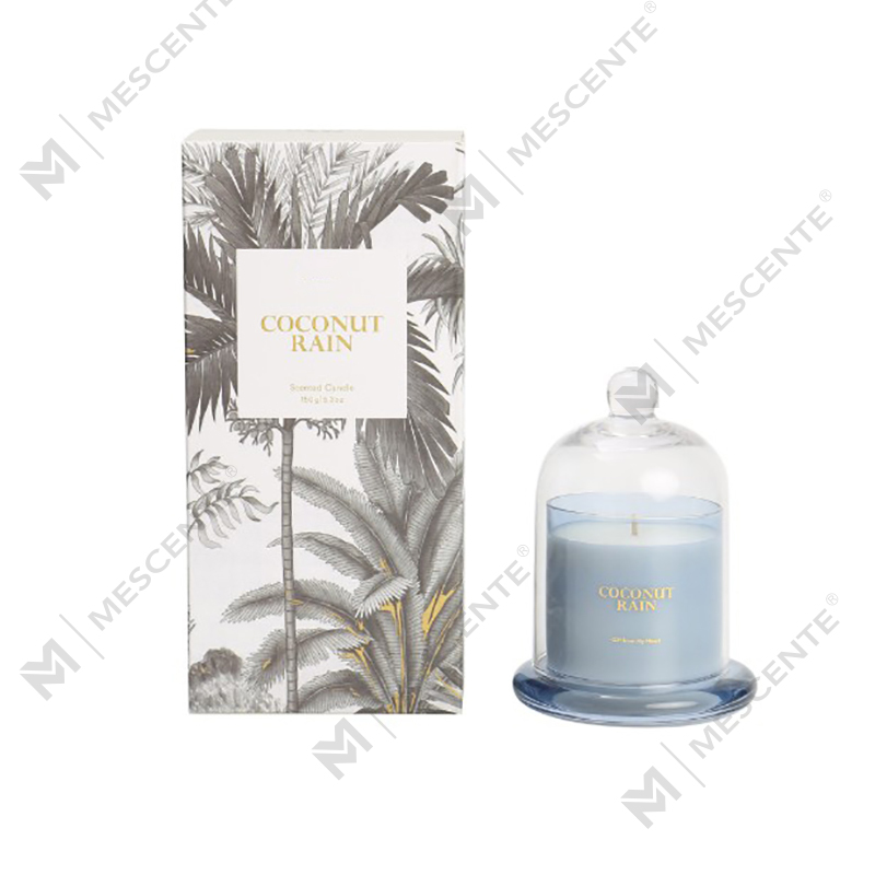 M&Scent Özel Logo Lüks Kutular Balmumu % 100% Doğal Mini Ev Mum Hediye