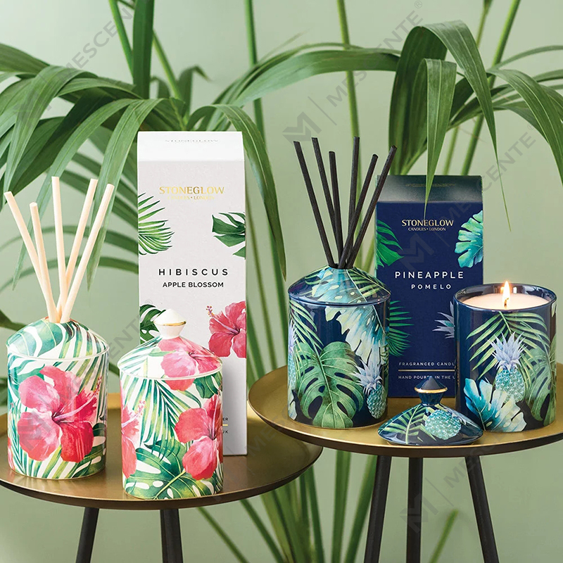 M&Scent Özel Tasarım Renkli Urban Botanics Katlanır Kutulu Tumbler Mum