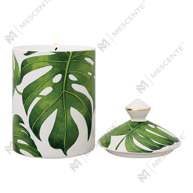 M&Scent Özel Tasarım Renkli Urban Botanics Katlanır Kutulu Tumbler Mum